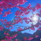 Spring has come