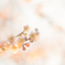 梅の花