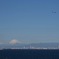 IMG_4145
