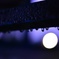 Water Droplets