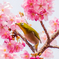 春よ