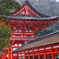 雪の下鴨神社