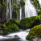 Winter moss