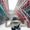 幸せな雪