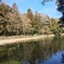 五十鈴川にて