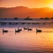 Stillness.