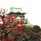 大阪城