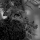 _IGP6741.jpg2