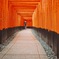 現世と幽界をつなぐ