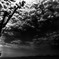 a tanker and clouds