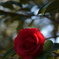 DSC07769