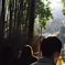 竹林の小径〜嵐山〜