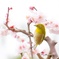 早春の歌