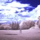 infrared