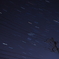 星動