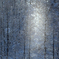 Winter fairies 15