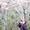 河津桜をパシャリ
