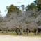 photo_6484724