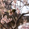 春はそこまで