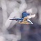 弥生０３−２