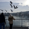 Geneve
