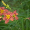 KAM_0424