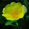 KAM_0442