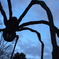 Maman