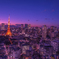 夕惑