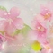 桃色吐息