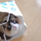 探し物は何ですか？