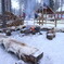 reindeer（サンタクロース村）