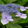 IMGP0092