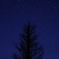 星屑