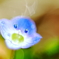 春の笑顔