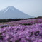 富士山とむらさき