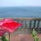 a flower