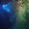 Sardine's meteor shower 02
