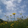 DSC01155