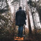 Lost in the woods