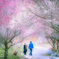 Season of love