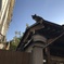 猫と瓦屋根