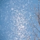 Winter fairies 10