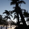 Waikiki beach