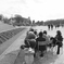 Jardin du Luxembourg