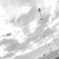 上空白空