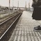 別れの季節