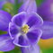 SMC-A　MACRO2