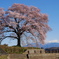 桜・わに塚