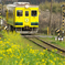 ＩＳＵＭI　ＲＡＩＬ